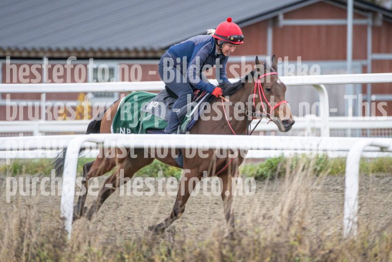 20251108-104426-DSC_7837