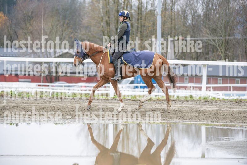 20251108-104621-DSC_7924