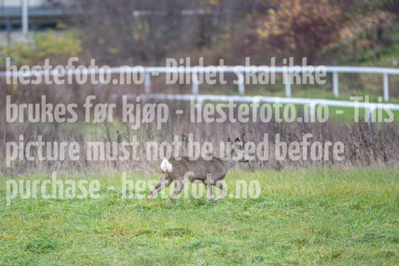 20251108-123724-DSC_8426