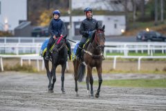 20251108-092602-DSC_6809