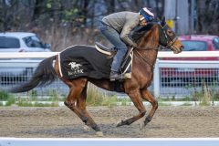 20251108-093322-DSC_6872