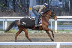 20251108-093322-DSC_6875