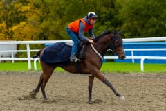 20211009-115010-DSC1125