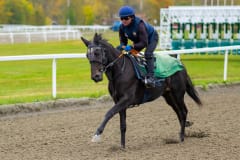 20211009-123726-DSC1213