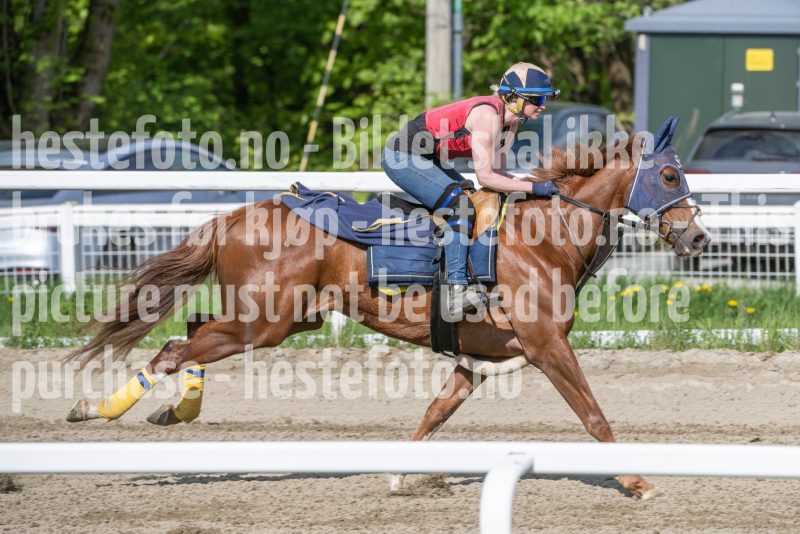 20250510-103013-DSC_2242
