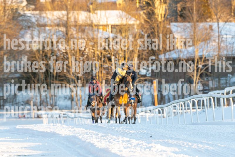 20250111-105414-DSC_3707