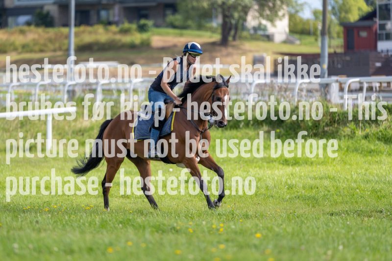 20220813-111214-DSC6552
