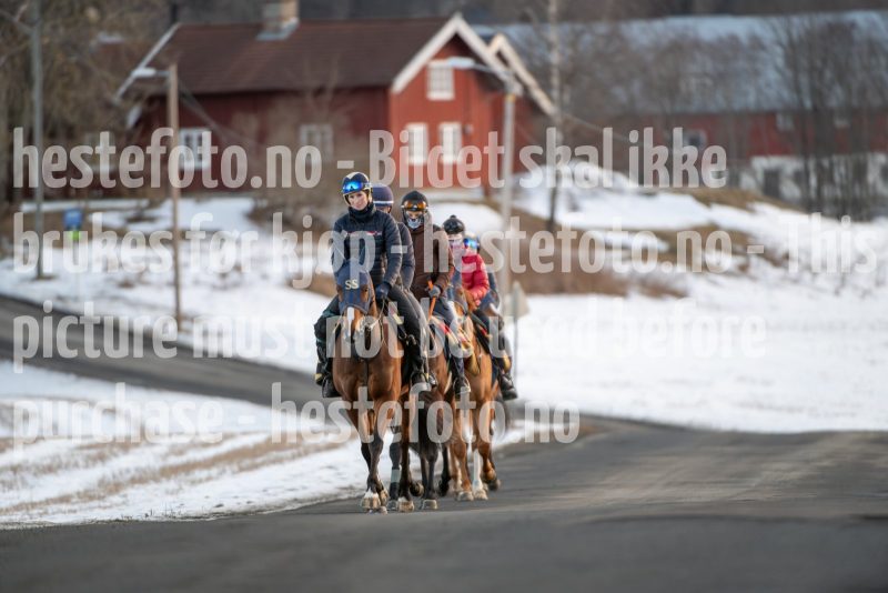 20250215-091509-DSC_8198