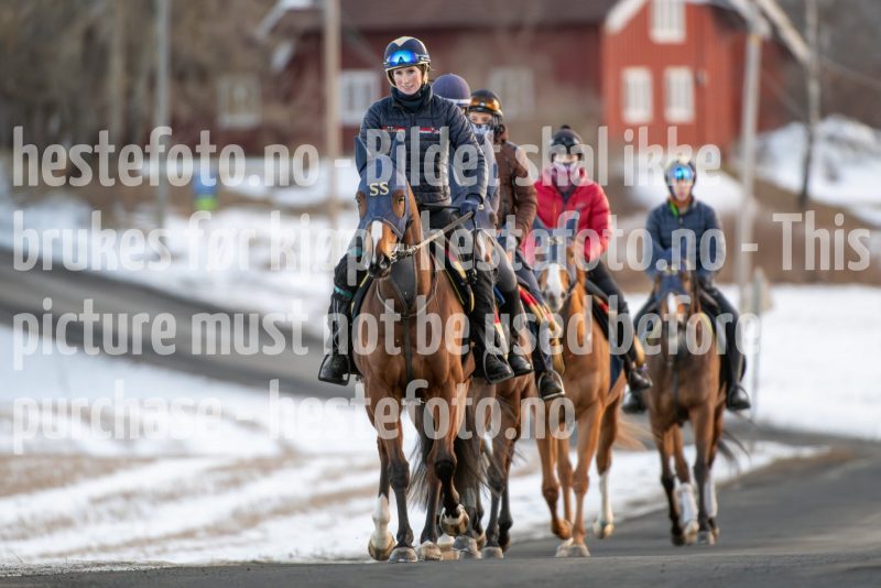 20250215-091513-DSC_8210