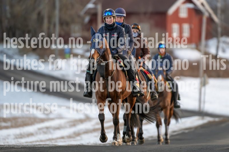 20250215-091515-DSC_8221