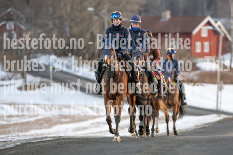 20250215-091517-DSC_8231
