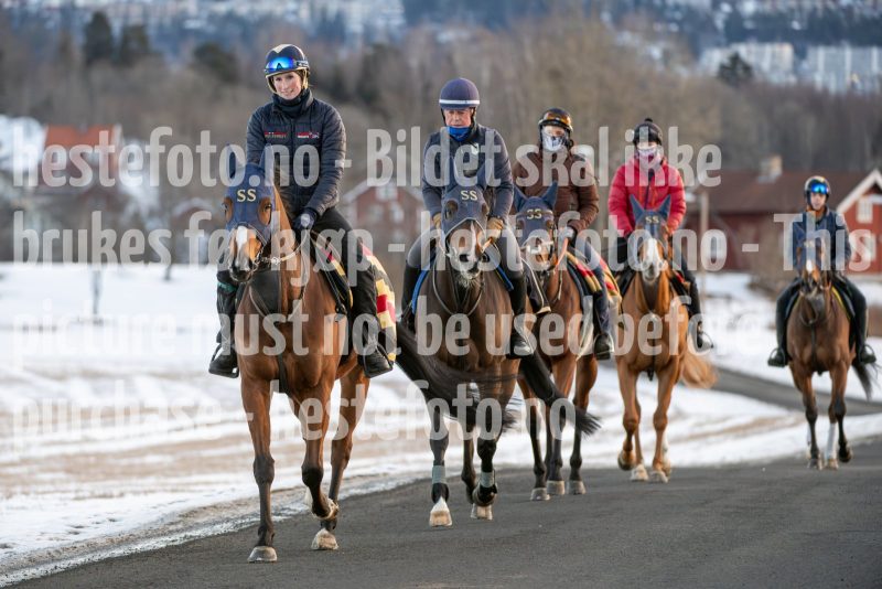 20250215-091521-DSC_8255