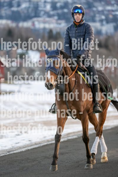 20250215-091530-DSC_8305