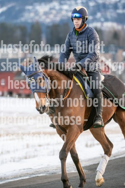 20250215-091531-DSC_8311