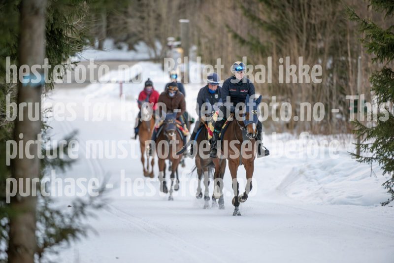 20250215-092133-DSC_8351