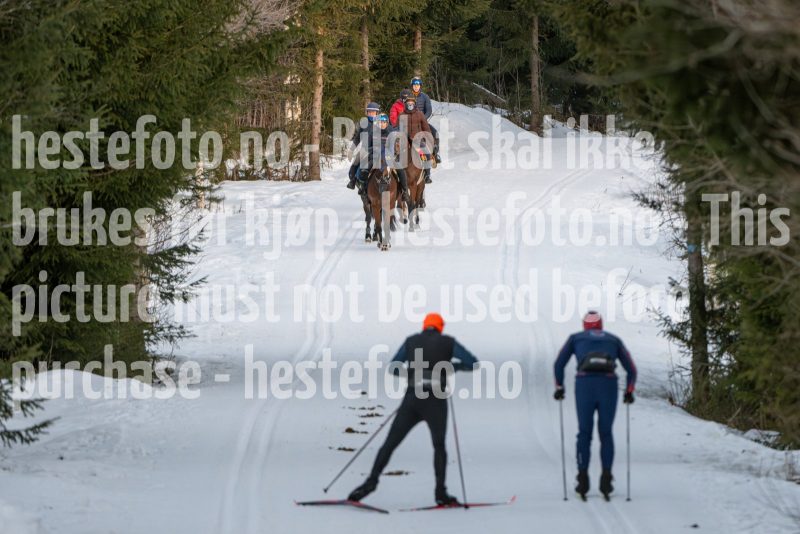 20250215-092757-DSC_8465