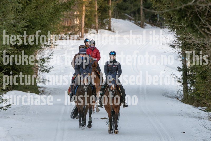 20250215-092901-DSC_8546