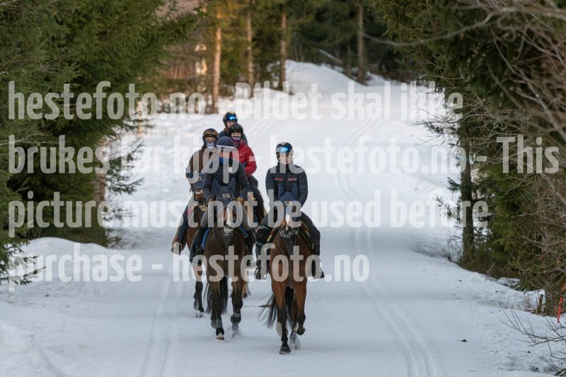 20250215-092901-DSC_8551