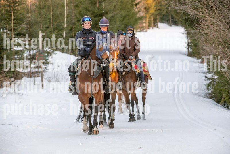 20250215-092921-DSC_8613