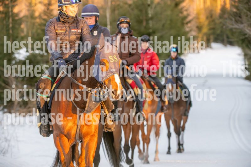20250215-092928-DSC_8641
