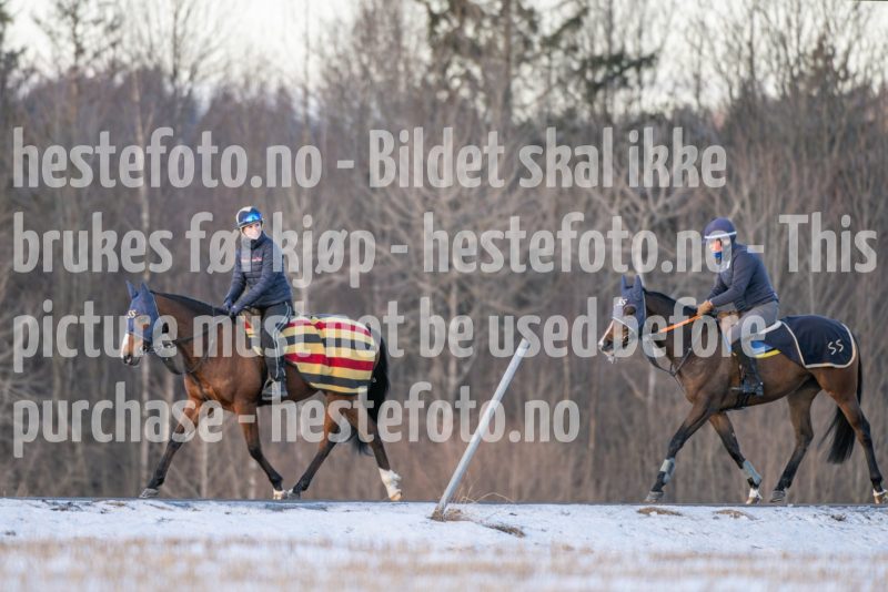 20250215-093838-DSC_8731