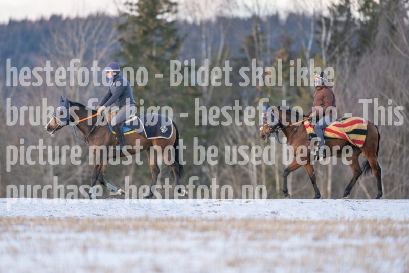 20250215-093842-DSC_8749
