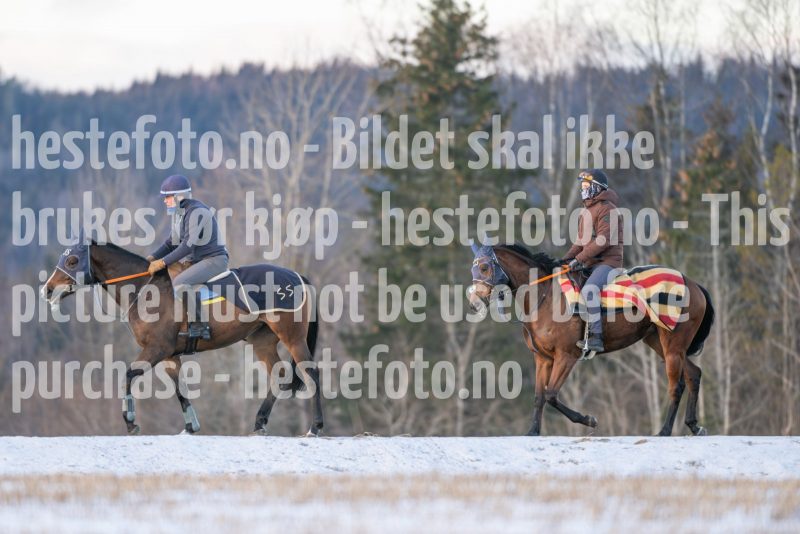 20250215-093842-DSC_8754