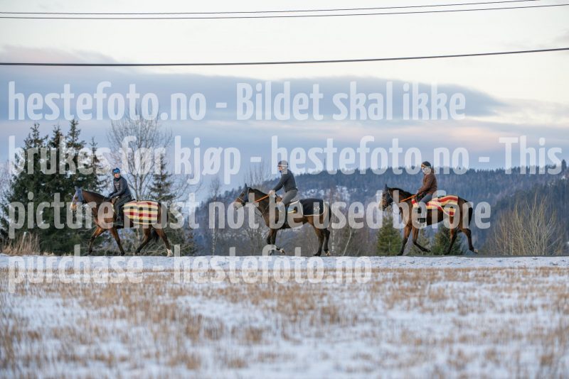 20250215-093850-DSC_8778