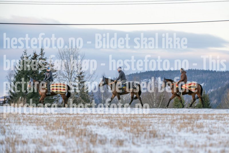 20250215-093850-DSC_8780