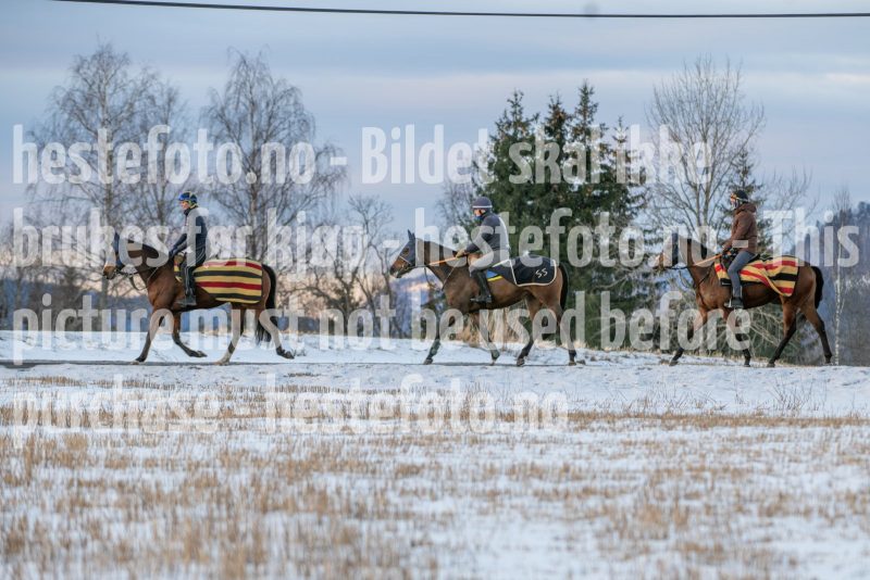20250215-093852-DSC_8784