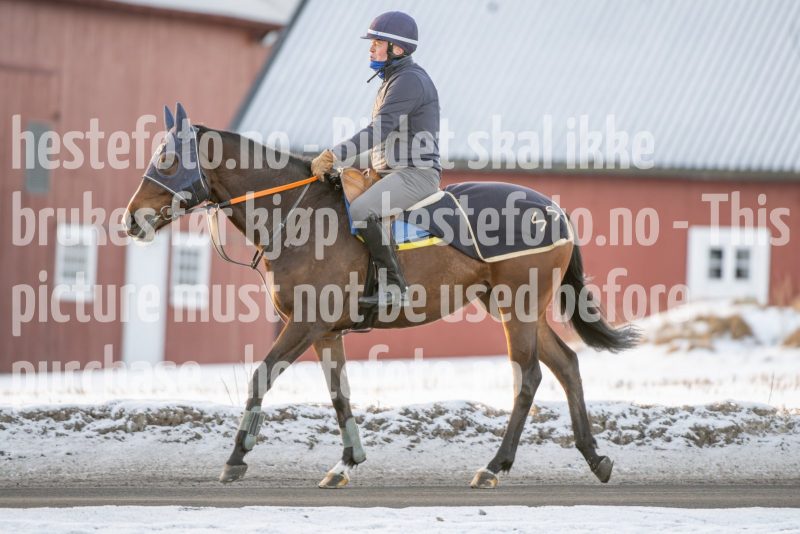 20250215-093921-DSC_8893
