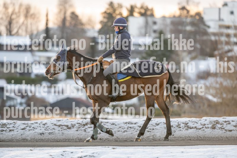 20250215-093930-DSC_8929
