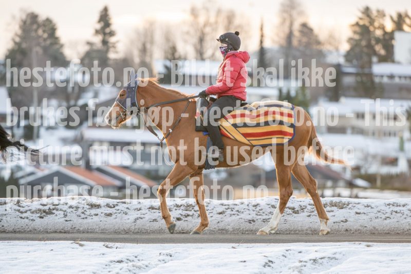 20250215-093936-DSC_8958