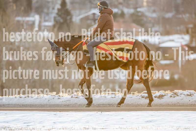 20250215-093940-DSC_8972
