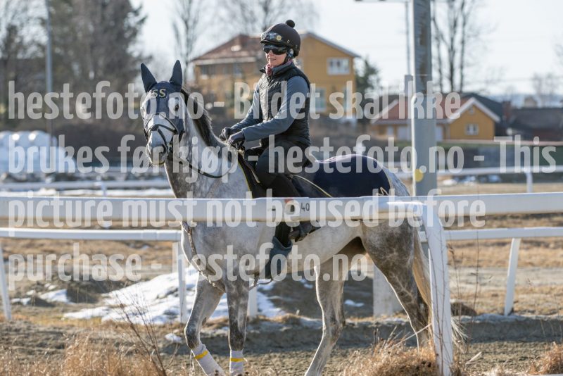 20250315-103625-DSC_2384
