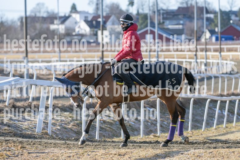 20250315-103724-DSC_2437