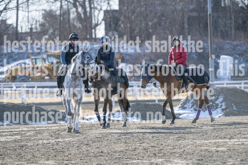 20250315-104620-DSC_3022