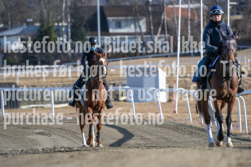 20250315-104751-DSC_3121
