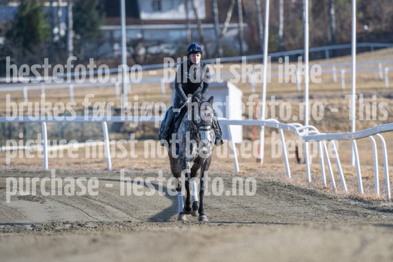 20250315-104824-DSC_3181