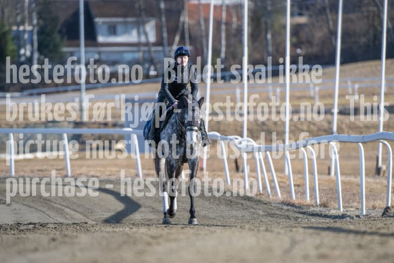 20250315-104826-DSC_3188