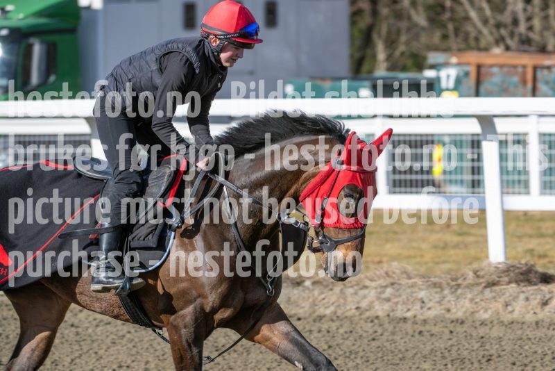 20250315-114403-DSC_3405