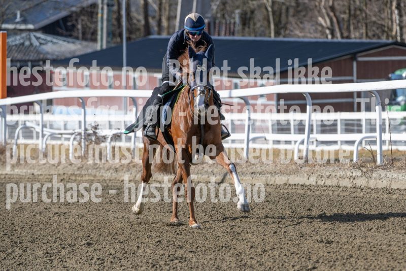 20250315-115031-DSC_3704