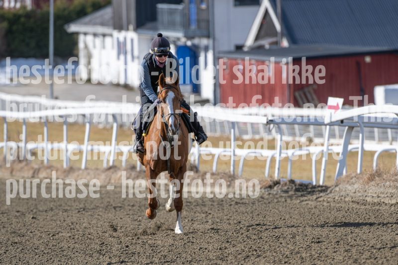 20250315-115053-DSC_3754