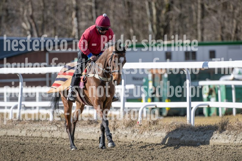 20250315-115147-DSC_3816