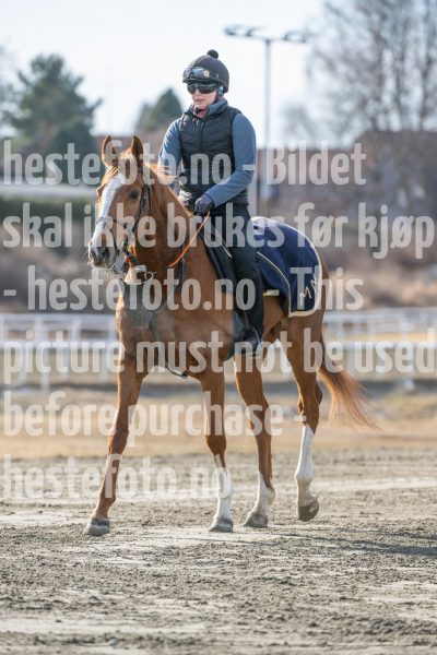 20250315-115619-DSC_4011