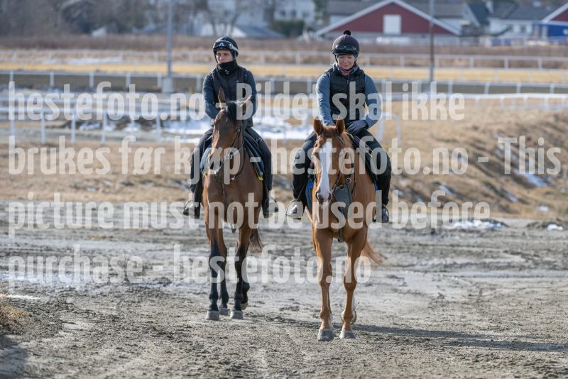 20250315-125351-DSC_4069