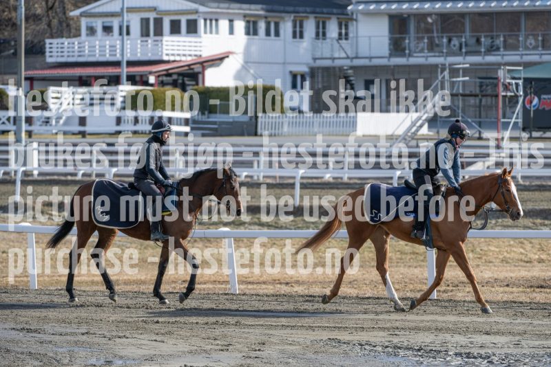 20250315-125612-DSC_4173