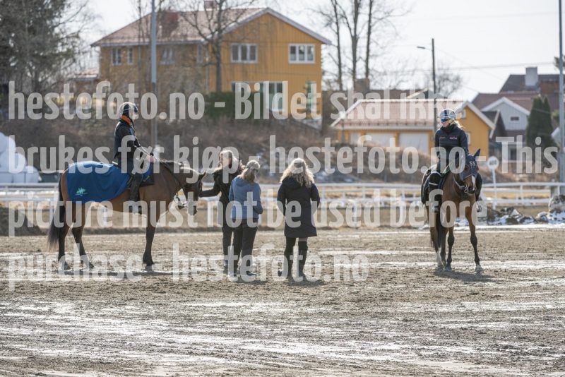 20250315-130550-DSC_4673