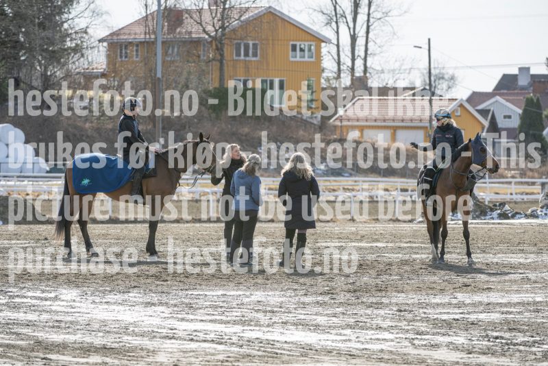 20250315-130554-DSC_4685