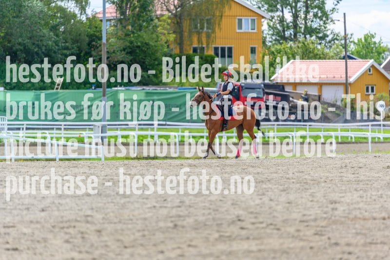 20210815-122000-DSC9053